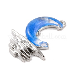 Pendentifs alliage et résine&nbsp;LS-FIND-G081-01D-P