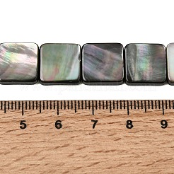 Natur schwarz Lippe Shell Perlen Stränge&nbsp;SHEL-A006-09B