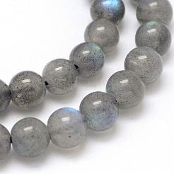 Chapelets de perles rondes en labradorite naturelle&nbsp;LS-G-O087-05-6mm