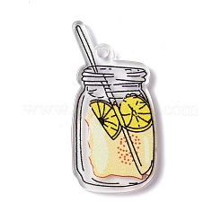 Transparent bedruckte Acrylanhänger&nbsp;LS-TACR-G042-01D