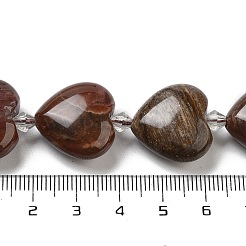Natürliche versteinerte Holzperlen Stränge&nbsp;G-C150-A08-01