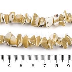Fili di perline di conchiglia trochus naturale&nbsp;BSHE-S304-04