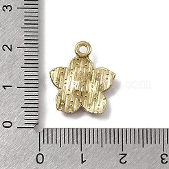 Emaille Anhänger Legierung&nbsp;ENAM-D305-04G