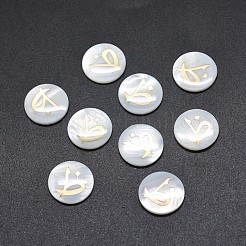 Cabochons en coquille&nbsp;SSHEL-E568-B13