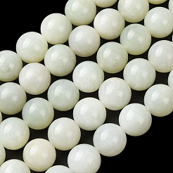 Natur Xiuyan Jade Perlen Stränge&nbsp;G-H343-D13-12mm