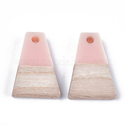 Pendentifs en résine & en bois&nbsp;RESI-S358-52A