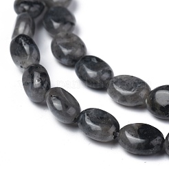 Natürliche schwarze Larvikit-Perlenstränge&nbsp;G-Z006-A03