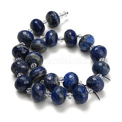 Natürlicher Lapislazuli Perlenstränge&nbsp;G-L642-I04-18x13mm