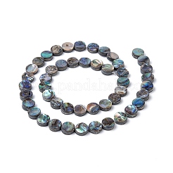 Natürliche Abalone Muschel / Paua Muschel Perlen Stränge&nbsp;SSHEL-G003-5-8x3mm