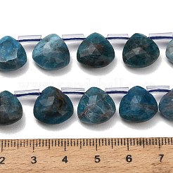 Natürliche Apatit Perlen Stränge&nbsp;G-C292-A06-01