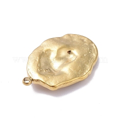 Pendentifs en acier inoxydable 304 avec placage ionique (IP)&nbsp;STAS-E187-02G