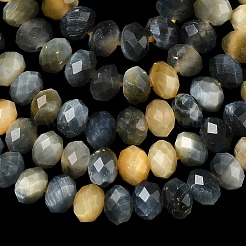 Tigre naturale fili Perle&nbsp;G-D344-A20-05