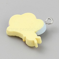 Pendentifs en résine opaque&nbsp;LS-RESI-CJC0020-37M