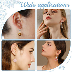 80 pièce de boucles d'oreilles à levier en acier inoxydable 304&nbsp;STAS-SC0004-60