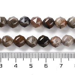 Natürliche versteinerte Holzperlen Stränge&nbsp;G-NH0021-A12-01