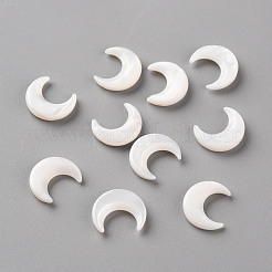 Perles de coquillage blanc naturel&nbsp;SSHEL-Q311-004A-02