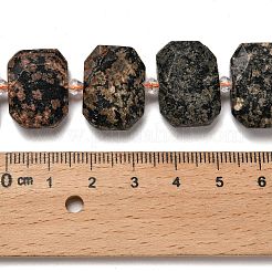 Naturschneeflocke Obsidian Perlen Stränge&nbsp;G-H078-B22-01
