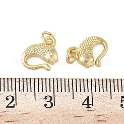 Messing Anhänger & Charms&nbsp;KK-L245-06G