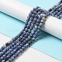 Fili di perle di diaspro macchia blu naturale&nbsp;G-P476-01B-02