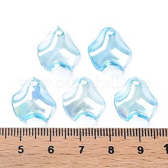 Pendentifs en acrylique transparent &nbsp;MACR-S373-106-C01