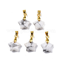 Natürliche howlite Anhänger / charms&nbsp;G-N326-142-10
