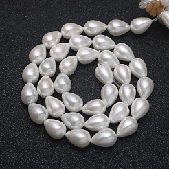 Natürlichen Muschelperlen Stränge&nbsp;BSHE-WH0002-02