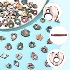 50 Stück natürliche&nbsp;SHEL-FS0001-17