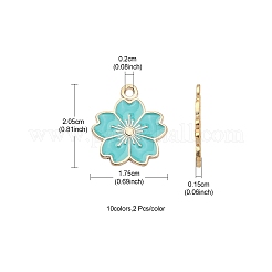 20pcs 10 pendentifs en alliage de couleurs&nbsp;ENAM-YW0002-12