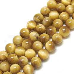 Chapelets de perles d'œil de tigre naturel, ronde, or, 8~8.5mm, Trou: 1mm, Environ 47~48 pcs/chapelet, 14.96~15.55 pouce (38~39.5 cm)