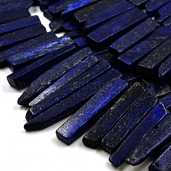 Chips lapislázuli naturales gradual hebras de abalorios, teñido y climatizada, 23~62x10~12x4~6mm, agujero: 2 mm, aproximamente 38 pcs / cadena, 15.3 pulgada