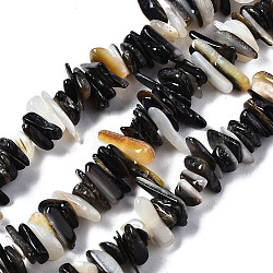 Naturel noir à lèvres shell perles brins, puce, noir, 1~5x5~18x3~7mm, Trou: 0.7mm, Environ 200~220 pcs/chapelet, 15.75 pouce (40 cm)
