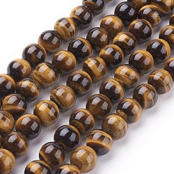Chapelets de perles d'œil de tigre naturel, Grade a, ronde, verge d'or, 10mm