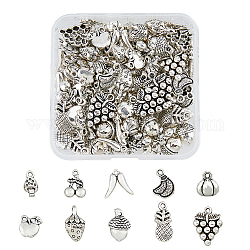 Dicosmetico 100 pz 10 pendenti in lega di stile tibetano, frutta, argento antico, 9~20x7.5~16x2~9.5mm, Foro: 1~2 mm, 10pcs / style