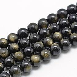 Chapelets de perles en obsidienne dorée naturelle, Grade a, ronde, 16mm, Trou: 2mm, Environ 24 pcs/chapelet, 14.96 pouce (38 cm)