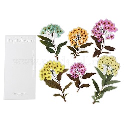 6 Stück selbstklebende Pflanzenaufkleber für Haustiere, wasserfeste Vintage-Blumenaufkleber, für diy scrapbooking, Farbig, 111~191x101~113x0.1 mm