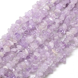 Chapelets de perles en améthyste naturelle, puces, 6~10x4~6x3 ~ 5 mm, Trou: 1mm, environ 32 pouce