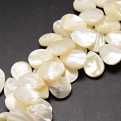 Chapelets de perles de coquille de trochid / trochus coquille, perles percées, larme, blanc crème, 16x12x3~4mm, Trou: 1mm, Environ 46 pcs/chapelet, 12 pouce