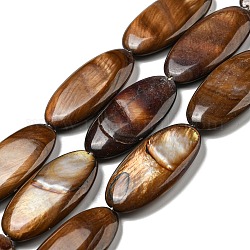 Chapelets de perles de coquille d'eau douce naturelle teinte, ovale, selle marron, 31x15x5mm, Trou: 0.8mm, Environ 13 pcs/chapelet, 15.83 pouce (40.2 cm)