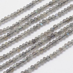 Chapelets de perles en labradorite naturelle, facettes rondelle, 3x2mm, Trou: 1mm, Environ 162 pcs/chapelet, 15.5 pouce