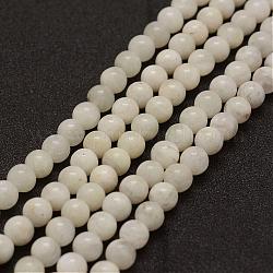Натуральные белые нити из лунного камня, класса AB, круглые, 10 мм, отверстие : 1 мм, около 39 шт / нитка, 15.3 дюйм (39 см)