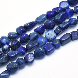 Chapelets de perles en lapis-lazuli naturel, pierre roulée, pépites, 8~14x6~10x4~10mm, Trou: 0.8mm, Environ 40~43 pcs/chapelet, 15.3~15.7 pouce (39~40 cm)