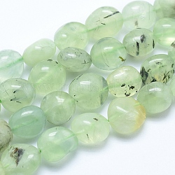 Perline Prehnite naturale fili, pietra burrattata, pepite, 10~16x7~14mm, Foro: 0.8 mm, circa 25~35pcs/filo, 15.7 pollice (40 cm)