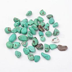 Perline di magnesite naturale, tinti e riscaldato, pepite, pietra burrattata, Senza Buco, verde mare medio, 4~10x4~6x2~4mm