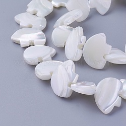 Shell Beads Strands, Animal, 12.8~13x17.6~18x3.5~4mm, Hole: 0.5mm, about 32pcs/strand, 15.55 inch(39.5cm)