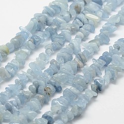 Chapelets de perles en aigue-marine naturelle, puce, AA grade, lumière bleu ciel, 3~5x7~13x2~4mm, Trou: 0.4mm, environ 31.5 pouce (80 cm)