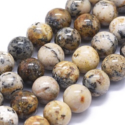 Natural Black Moss Jasper Beads Strands, Round, 10mm, Hole: 1.2mm, about 39pcs/strand, 15.7 inch(40cm)