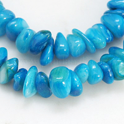 Shell perle naturali fili, tinto, pezzo, cielo blu profondo, 5~12x5~8x1~6mm, Foro: 1 mm