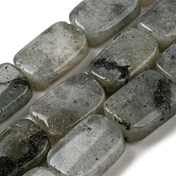Natural Labradorite Beads Strands, Rectangle, 17~18x12.5~13x6~6.5mm, Hole: 1mm, about 22pcs/strand, 15.35''(39cm)