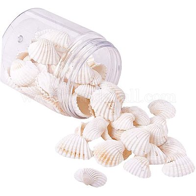 INSPIRELLE 0.5 LB (160~220pieces) Natural Spiral Cowrie Shell Beads Cut Sea  Shell Connectors Beach Seashells Cowrie Shell Charms for Jewelry Making