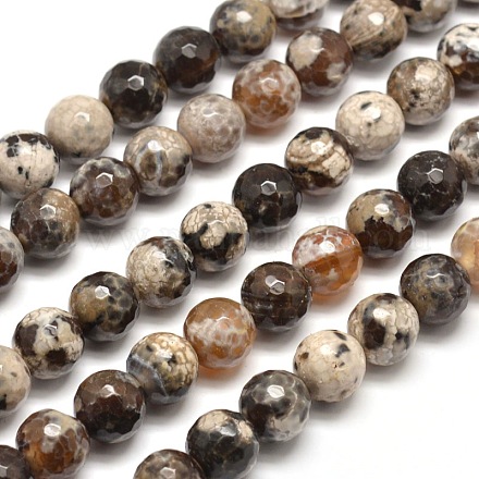 Dyed Natural Agate Faceted Round Beads Strands G-E268-17-1